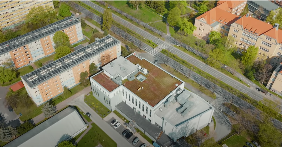 Air view of bee roof