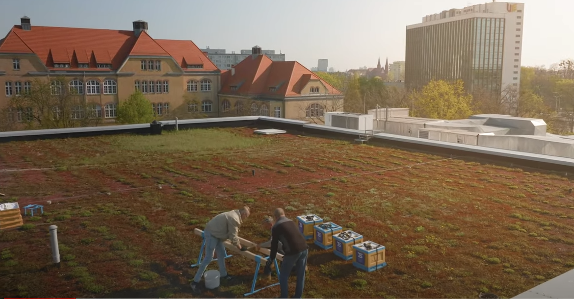 Beekeepers on the roof